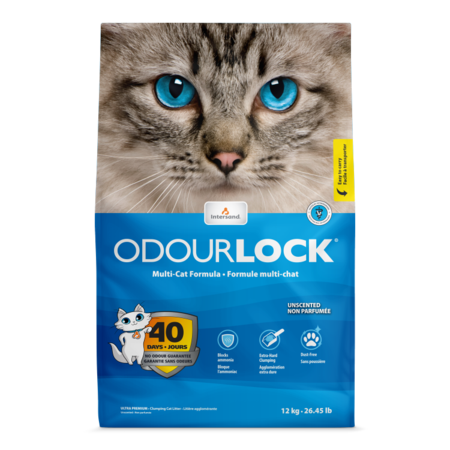 Intersand Odour Lock 加拿大 鎖臭40天無塵礦物貓砂 12kg
